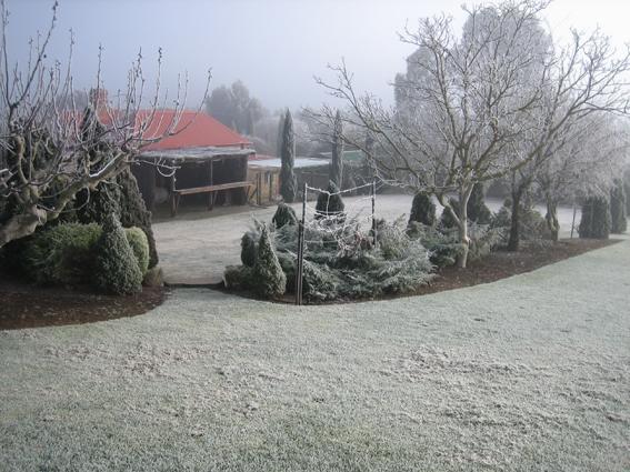Vineyard Cottage Bnb Gumeracha Eksteriør bilde