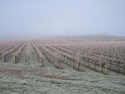 Vineyard Cottage Bnb Gumeracha Eksteriør bilde