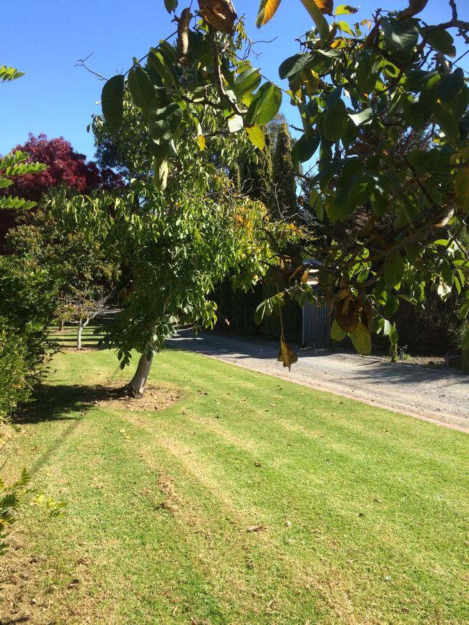Vineyard Cottage Bnb Gumeracha Eksteriør bilde